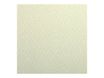 Clairefontaine - Papier dessin couleur à grain - feuille 50 x 65 cm - vert pâle