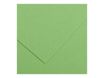 Canson Iris Vivaldi - Papier - 500 x 650 mm - vert pomme - 185 g/m²