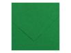 Canson Iris Vivaldi - Papier - 500 x 650 mm - vert mousse - 185 g/m²