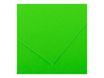 Canson Iris Vivaldi - Papier - 500 x 650 mm - vert fluorescent - 250 g/m²