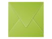 Pollen - 20 Enveloppes - 140 x 140 mm - 120 g/m² - vert menthe