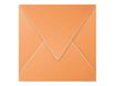 Pollen - 20 Enveloppes - 140 x 140 mm - 120 g/m² - clémentine