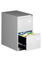 Classeur métallique monobloc professionnel - 2 tiroirs - H71 x L41 x P62 cm - gris clair