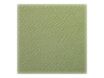 Clairefontaine - Papier dessin couleur à grain - feuille 50 x 65 cm - vert anis