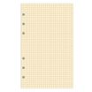 Exacompta Exatime 17 - Recharge pour organiseur - bloc quadrillé ivoire - 10,5 x 17,2 cm