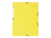 Exacompta Nature Future - Chemise à 3 rabats - A4 - pour 250 feuilles - citron