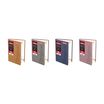L'ETUDIANT ORIGINAL COULEUR Agenda Scolaire - 15x21cm - 4 décors - Hamelin