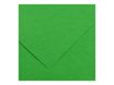 Canson Iris Vivaldi - Papier - 500 x 650 mm - vert vif - 185 g/m²