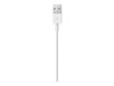 Apple - Câble Lightning - Lightning mâle pour USB mâle - 2 m
