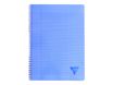 Clairefontaine Linicolor - Cahier polypro à spirale 17 x 22 cm - 100 pages - grands carreaux (Seyes) - disponible dans différentes couleurs