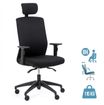 Fauteuil de bureau SCOTTY - accoudoirs réglables - appui-tête réglable - noir