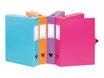 Viquel - Boîte de classement plastique - dos 100 mm - rose fuchsia