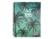 PRO-DG California - Cahier A5 - petits carreaux - Karactermania