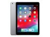 Apple iPad (5e gen) - iPad 9,7" - reconditionné grade B (bon état) - 32 Go - gris coque noire
