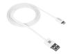 Canyon - câble Lightning / USB - 1 m - blanc