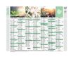 Quo Vadis Equology - Calendrier recyclé 7 mois par face - 18 x 13,5 cm
