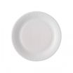 Lot de 100 assiettes en carton - 23 cm - blanche