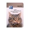 Agenda Funny Pets - 1 jour par page - 12 x 18 cm - chat oups - Hamelin