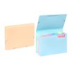 Viquel Rainbow Pastel - trieur à soufflet - pour A4 - à onglets - disponible en différents coloris