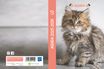 Agenda Animaux - 1 jour par page - 12 x 17 cm - chaton - Bouchut
