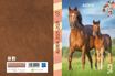 Agenda Animaux - 1 jour par page - 12 x 17 cm - cheval - Bouchut