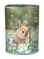 Pot a crayons Lapin - 6,7 x 10,7 cm - Oberthur