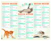 Calendrier Chatons - 7 mois par face - 21 x 26,5 cm - Oberthur