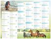 Calendrier Cheval - 7 mois par face - 40,5 x 55 cm - Oberthur
