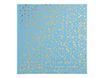 Exacompta Plum' - Album photos 25 x 25 cm - 30 pages - turquoise