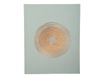Exacompta Ellipse - Livre d'or - 22 x 27 cm - 100 pages - vert