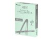 Rey Adagio - Papier couleur - A4 (210 x 297 mm) - 160 g/m² - Ramette de 250 feuilles - vert