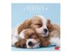 Legami - Calendrier mensuel - 30 x 29 cm - chiots