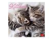 Legami - Calendrier mensuel - 30 x 29 cm - chatons