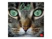 Legami - Calendrier mensuel - 30 x 29 cm - chats