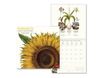 Legami - Calendrier mensuel 2024 - 30 x 29 cm - herbier