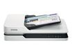 Epson WorkForce DS-1630 (B11B239401PP) - scanner de documents A4 - 1200 dpi x 1200 dpi - USB 3.0
