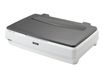 Epson Expression 12000XL - scanner à plat A3 - 2400 dpi x 4800 dpi - USB 2.0