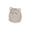 Legami – Gomme Parfumée Meow Chat – Souple et Parfumée