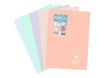 Clairefontaine Koverbook Blush - Cahier polypro A4 (21x29,7 cm) - 96 pages - grands carreaux (Seyes) - disponible dans différentes couleurs