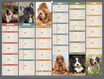 Calendrier bancaire illustré année civile BOUCHUT "Humour chien Medium" 32 x 42 cm Pefc 70 %