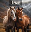 Calendrier illustré BOUCHUT 30 x 30 cm CHEVAL Pefc 70 %