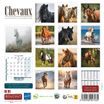 Calendrier illustré BOUCHUT 15 x 15 cm CHEVAL Pefc 70 %