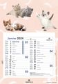 Calendrier mensuel en papier sur plaque nova - 18 x 26 cm - différents modèles disponibles - Oberthur