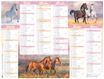 Calendrier Cheval - 6 mois par face - 40,5 x 55 cm - Oberthur
