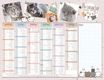 Calendrier Chatons - 6 mois par face - 32 x 42 cm - Bouchut