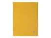 Exacompta OpaK - Porte vues - 80 vues - jaune