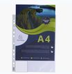 Exacompta Forever Opak - pochette perforée - pour A4 - crystal translucide (pack de 100)
