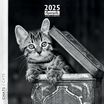 Calendrier mensuel 30x30 cm - 16 mois - Chats N&B