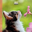 Calendrier mensuel 16x16 cm - 16 mois - Chatons