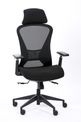 Fauteuil de bureau DESIGNER - Accoudoirs réglables - Appuie-tête - noir